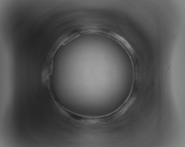X0000101101385200806261503
