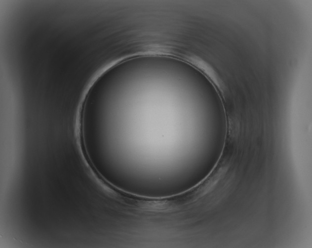 X0000101101387200806261503