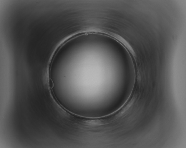 X0000101101388200806261503
