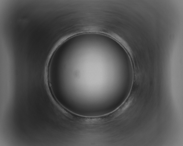 X0000101101389200806261503