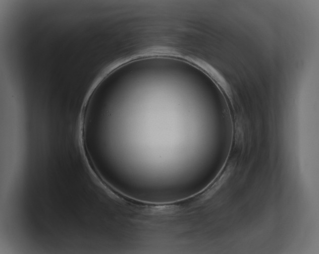 X0000101101390200806261503