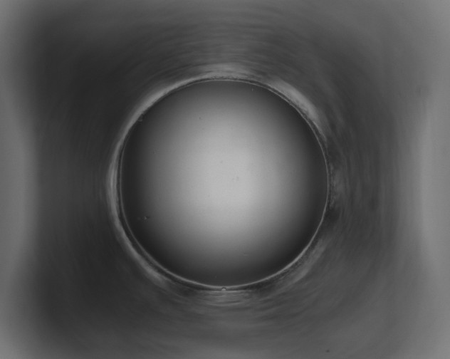 X0000101101391200806261503