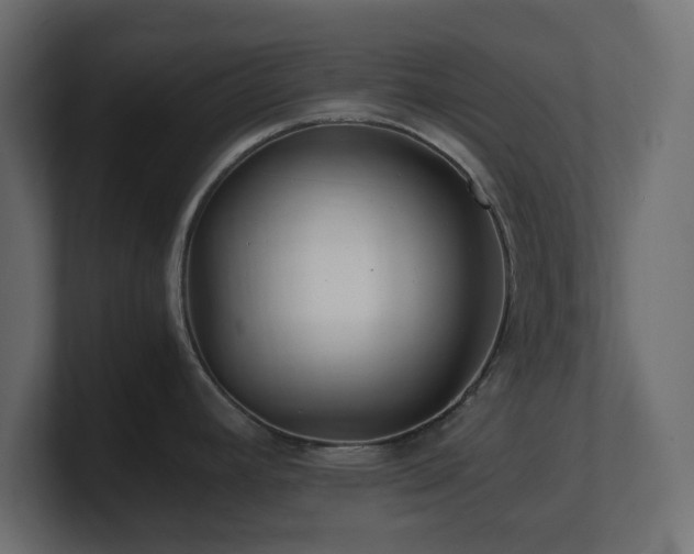 X0000101101392200806261503