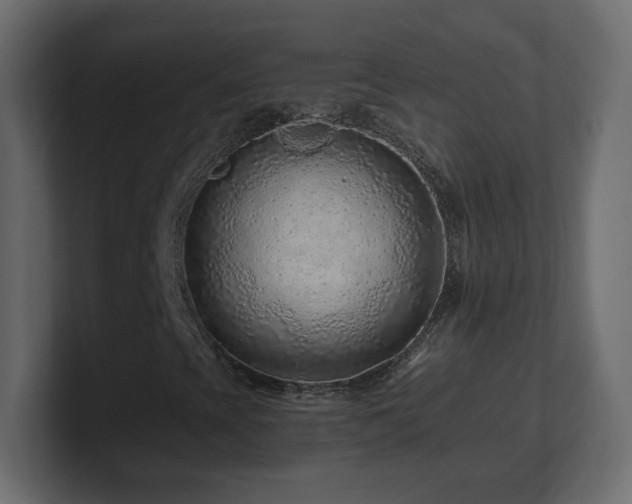 X0000101101393200806261502