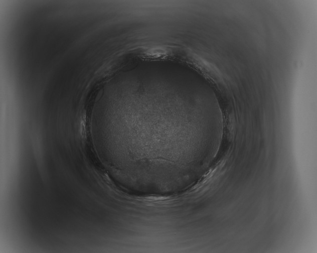 X0000101101394200806261502