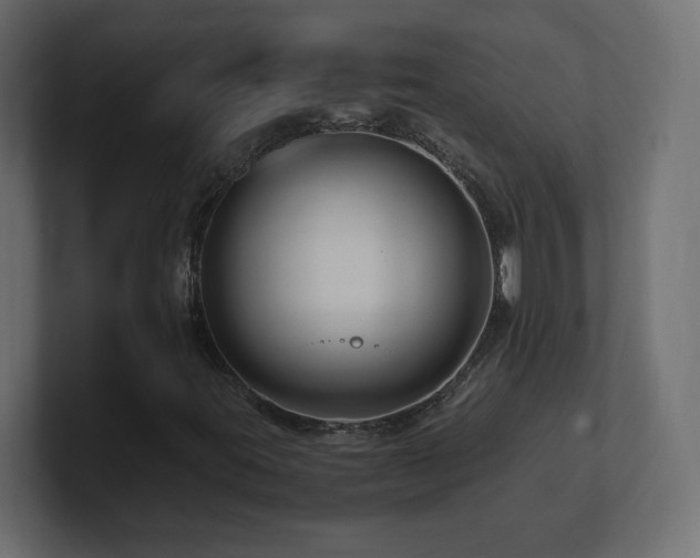 X0000101101395200806261502
