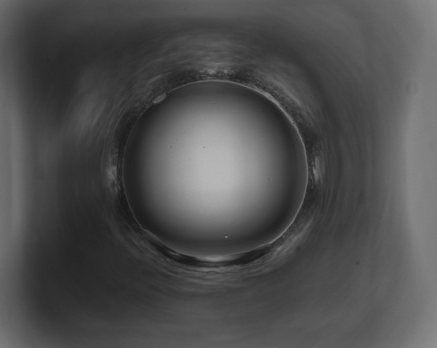 X0000101101396200806261502