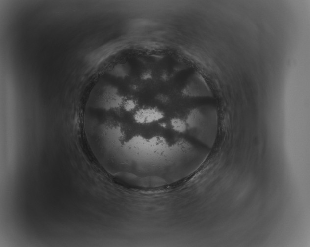 X0000101101397200806261502