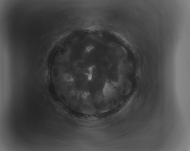 X0000101101398200806261502