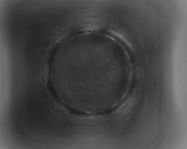 X0000101101399200806261502