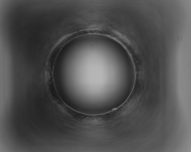 X0000101101400200806261502