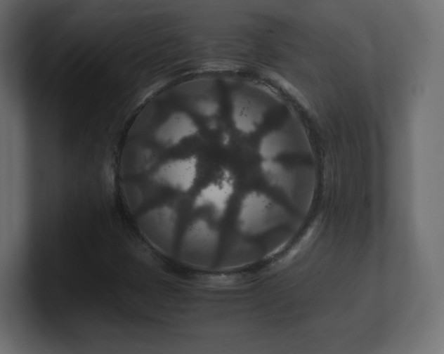 X0000101101401200806261502