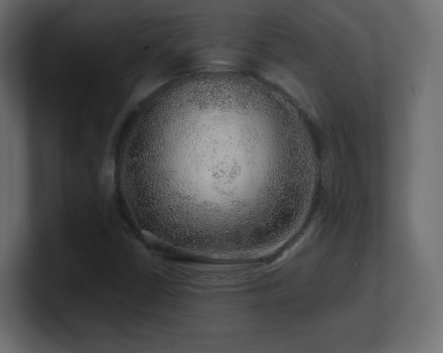 X0000101101402200806261502