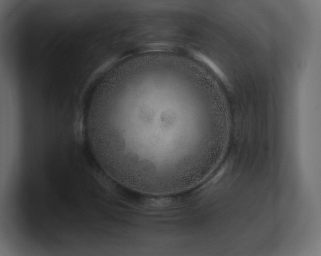 X0000101101403200806261502