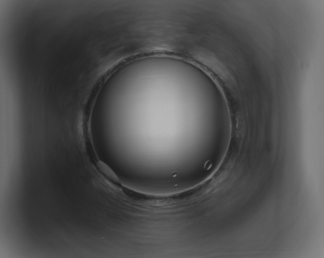 X0000101101404200806261502