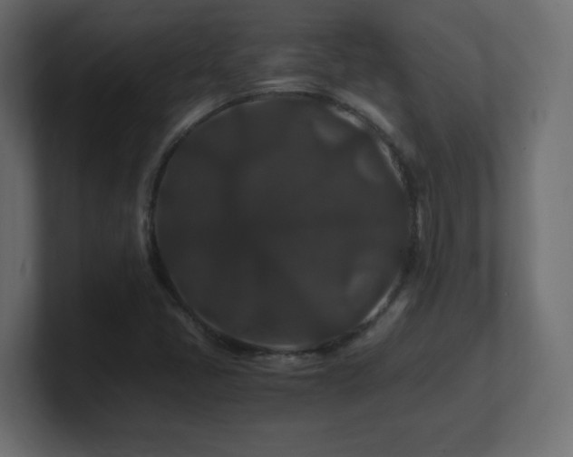 X0000101101405200806261502