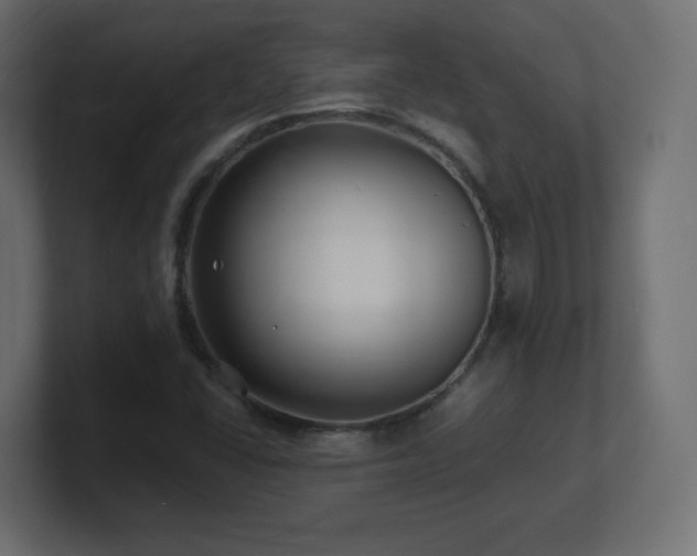 X0000101101406200806261502