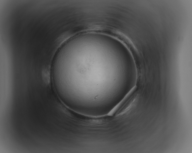 X0000101101409200806261502