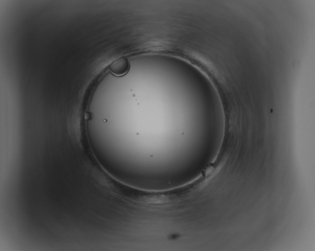 X0000101101410200806261502