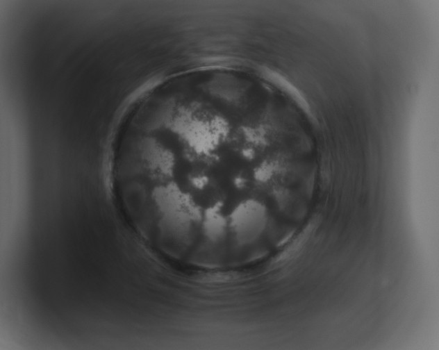 X0000101101411200806261502