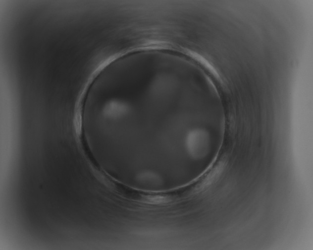 X0000101101413200806261503