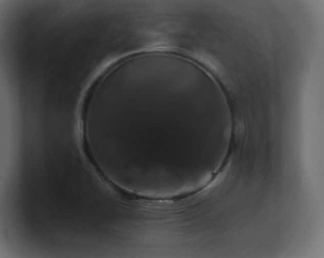 X0000101101414200806261503