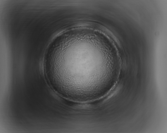 X0000101101417200806261503