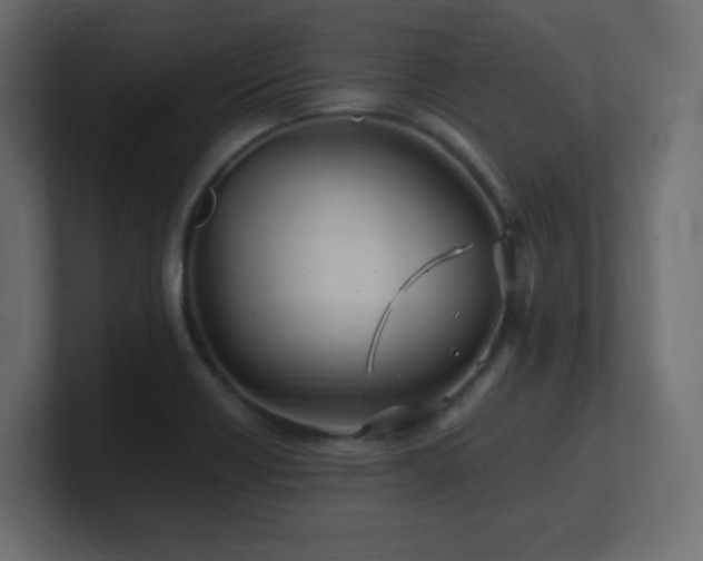 X0000101101418200806261503
