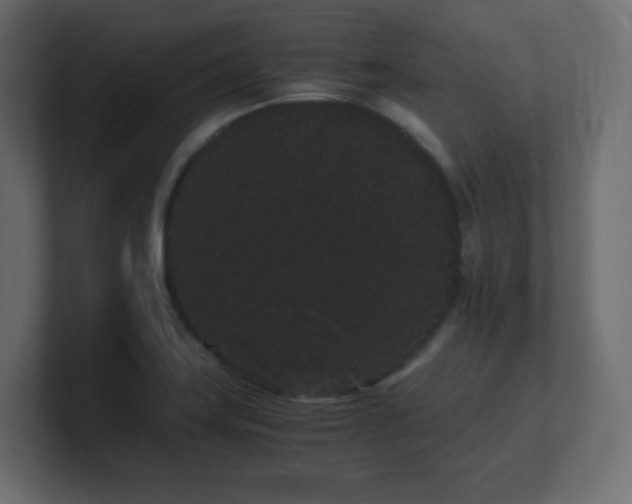 X0000101101419200806261503