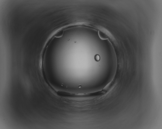 X0000101101420200806261503
