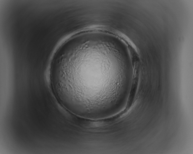 X0000101101421200806261503