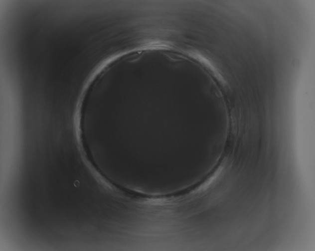 X0000101101422200806261503