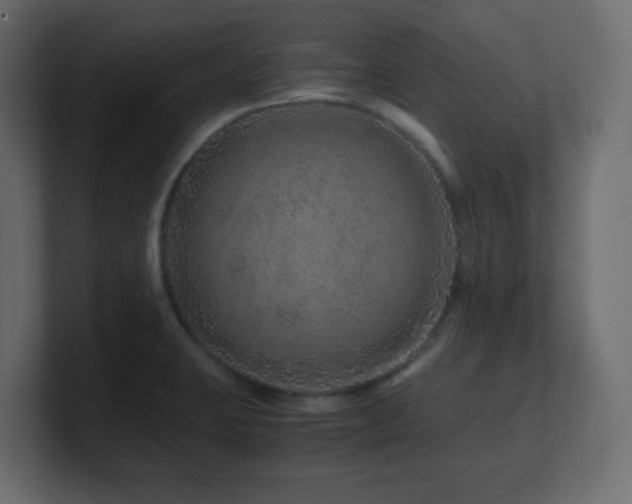 X0000101101423200806261503