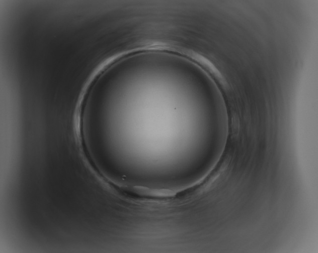 X0000101101424200806261503