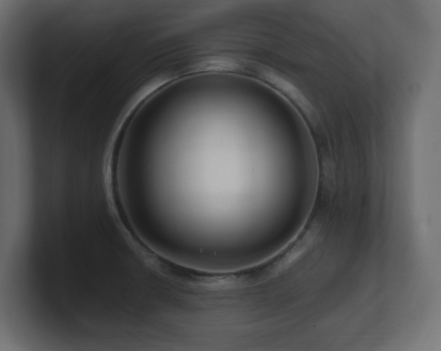 X0000101101426200806261503