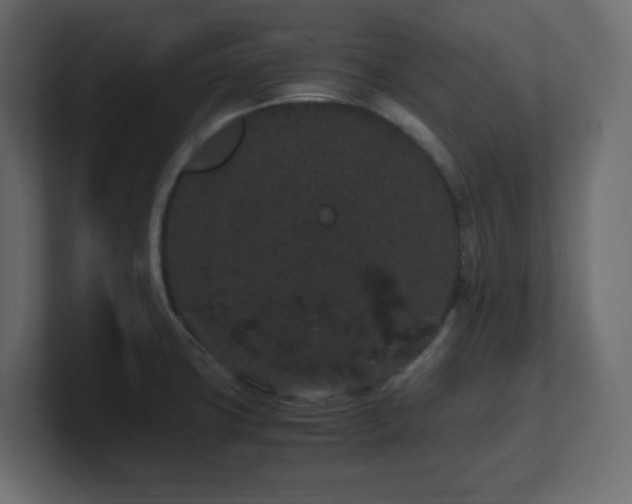 X0000101101427200806261503