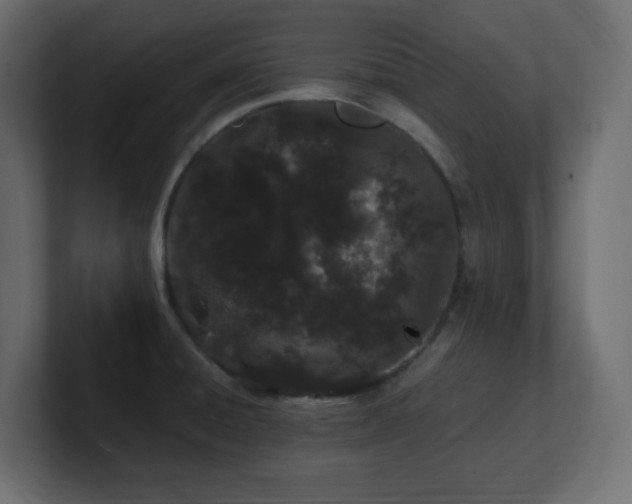 X0000101101428200806261503