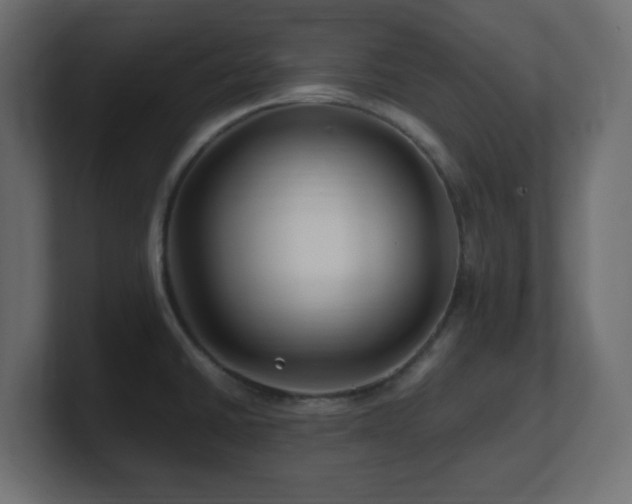 X0000101101430200806261503