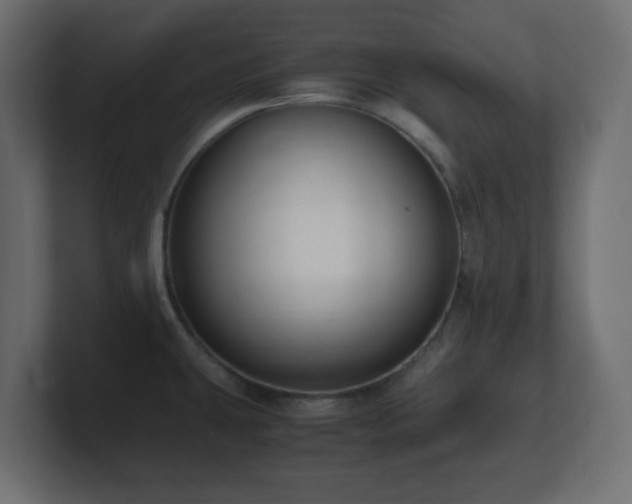 X0000101101431200806261503