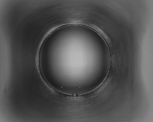 X0000101101432200806261503