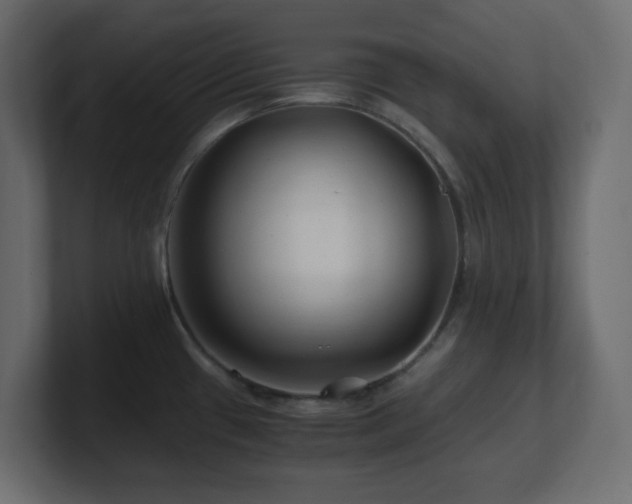 X0000101101433200806261503
