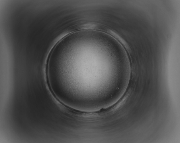 X0000101101434200806261503