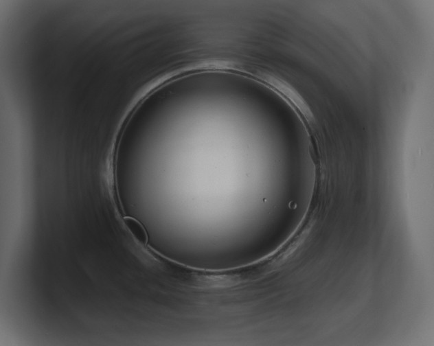X0000101101436200806261503