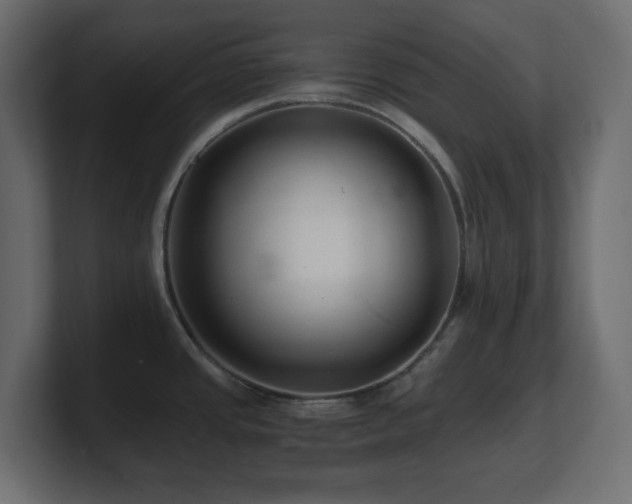 X0000101101437200806261503