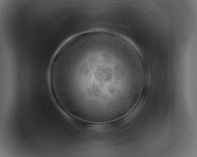 X0000101101438200806261503