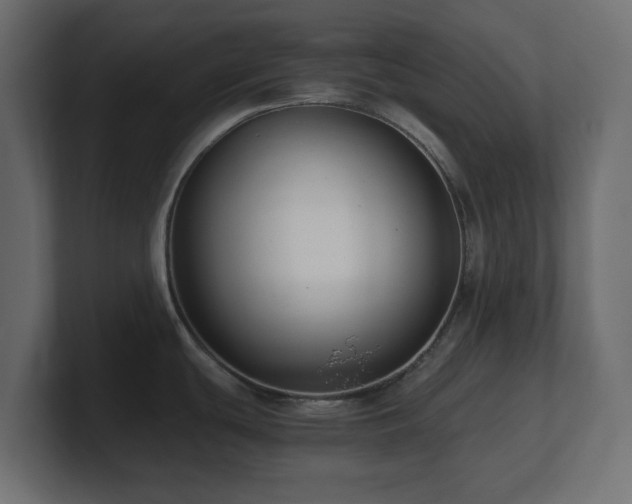 X0000101101439200806261503
