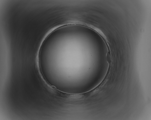 X0000101101440200806261503