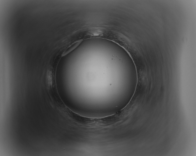 X0000101101442200806261502