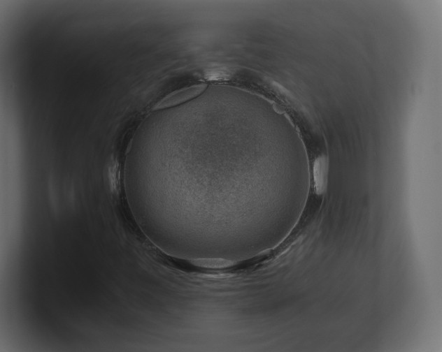 X0000101101443200806261502