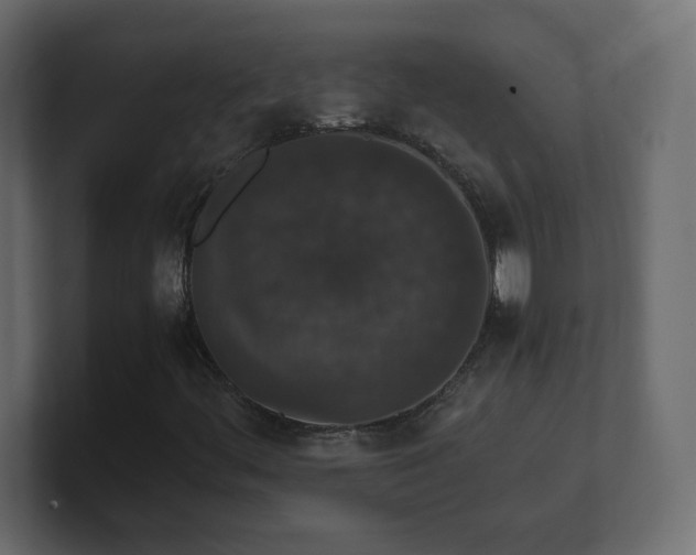 X0000101101444200806261502